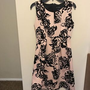 Like New 🧡 Enfocus Studio Cocktail Dress